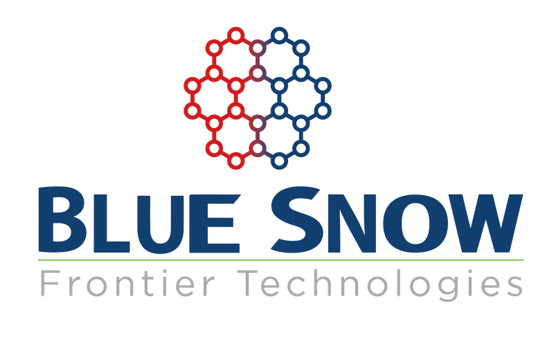Blue Snow Frontier Technologies logo